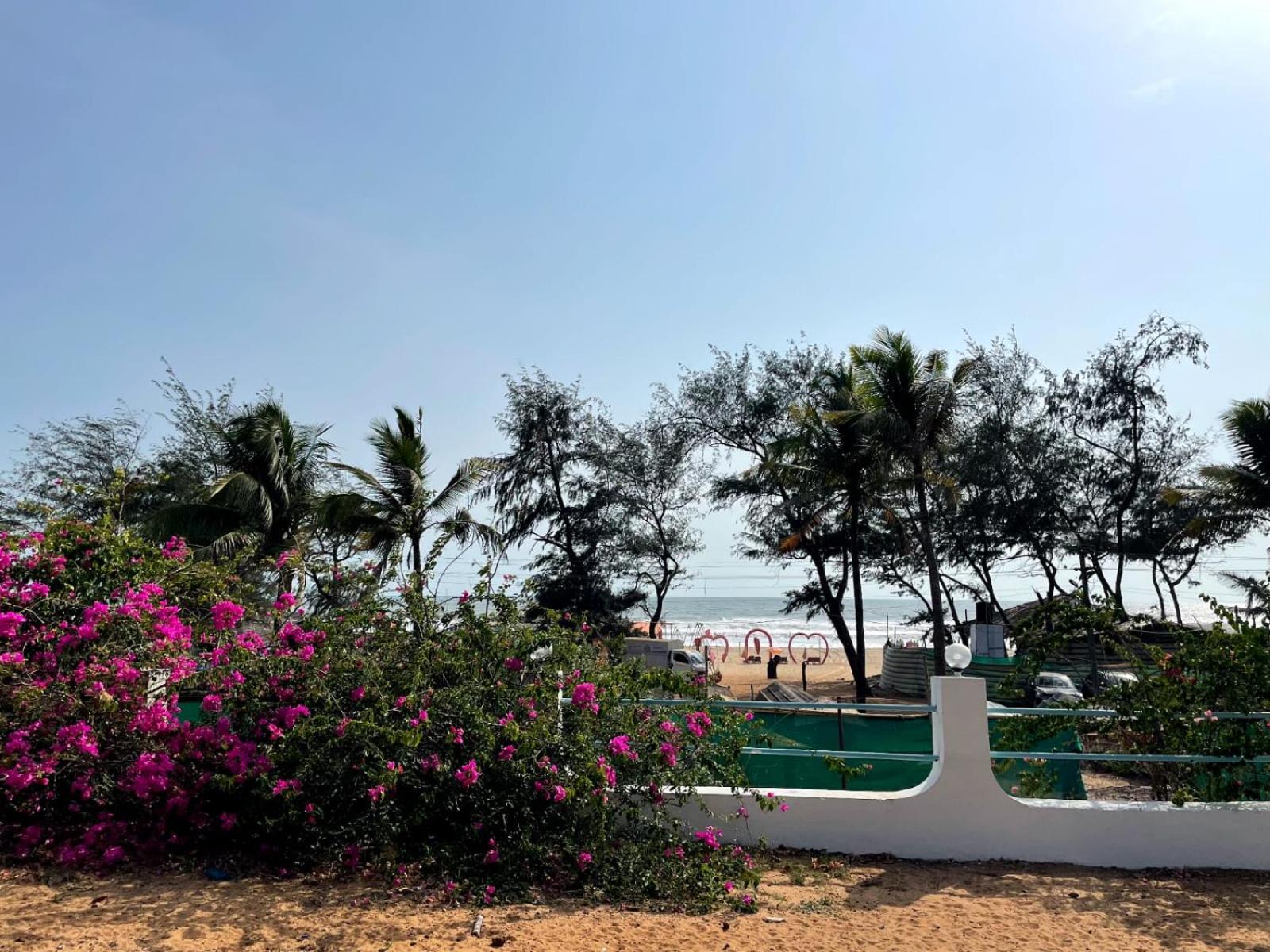 Papilio Beach Front Cottages-Tbv باغا المظهر الخارجي الصورة