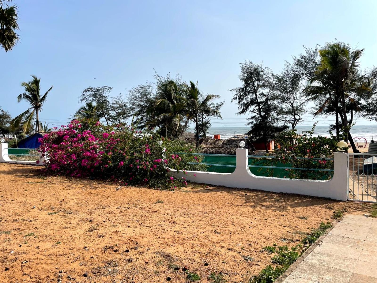 Papilio Beach Front Cottages-Tbv باغا المظهر الخارجي الصورة
