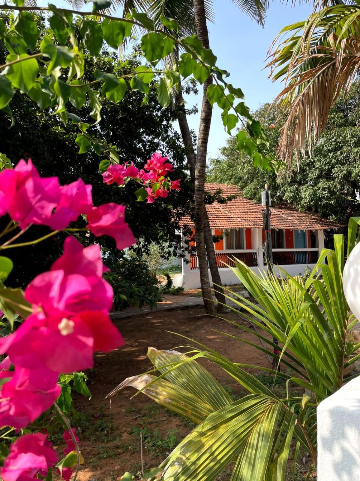 Papilio Beach Front Cottages-Tbv باغا المظهر الخارجي الصورة